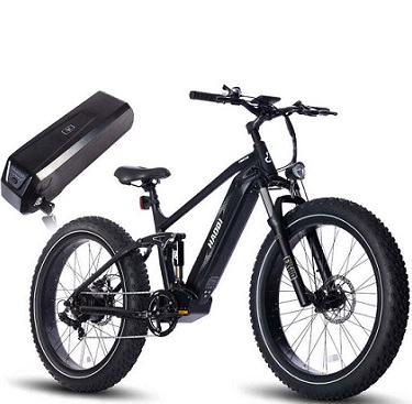 HAOQI Cheetah Full Suspension Electric Bike 28in Wheel 750W Motor 48V 25Ah Dual Battery Version