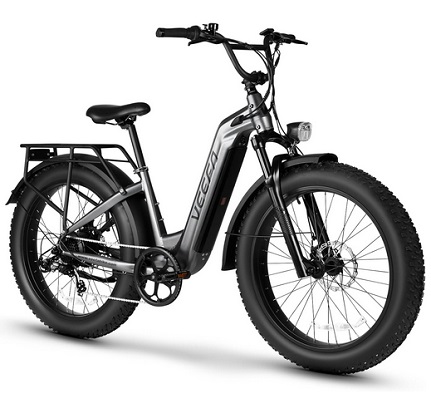 VEEFA Electric Bike for Adults 750W/Peak 1000W Motor 48V 13AH Removable Battery Electric Bicycle 26\