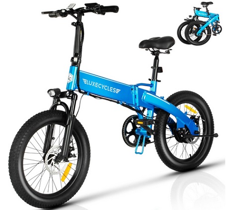 Luxevelo Adult Folding Electric Bike 1000W Motor Front and Rear Disc Brakes 48V 13AH Removable Battery 20\