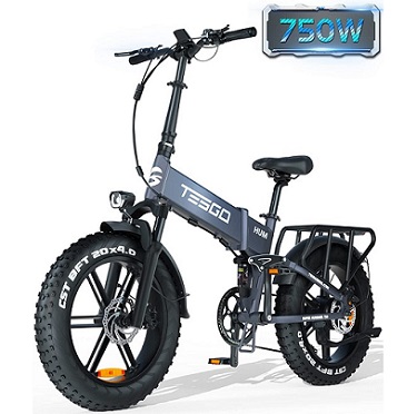 TESGO Electric Bike for Adults 750W, Folding Snow Fat Tire E-Bike Bicycle with 20\