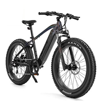 VELOWAVE Electric Bike Adults 750W BAFANG Motor 48V 15Ah Removable LG Cells Battery 26\'\' Fat Tire Ebike 28MPH Snow Beach Mountain E Bike Shimano 7-Speed