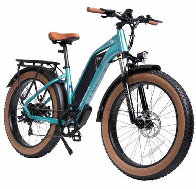 DWMEIGI Artemis 750W Electric Bike 26\'\'x4.0\