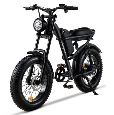 Ridingtimes Z8 500W Electric Bike 20 Inch Fat Tire 48V15A Battery 90-120km Max Range Dual Mechanical Disc Brake 120KG Max Load