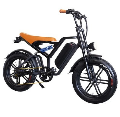 E11 Electric Bike 20*4.0 inch Tire 48V 1000W Motor 45km/h Max Speed 20Ah Battery 40-60km Range Double Disc Brakes