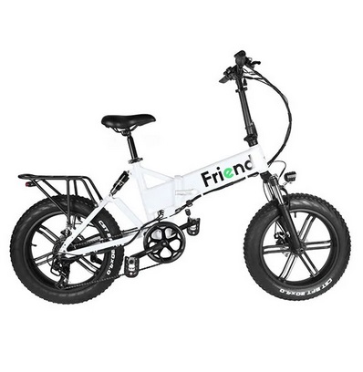 Friend Male Folding Electric Bike 750W 48V 10.5Ah Battery 20*4inch Fat Tires 20-25KM Mileage Range 80KG Max Load Electric Bike