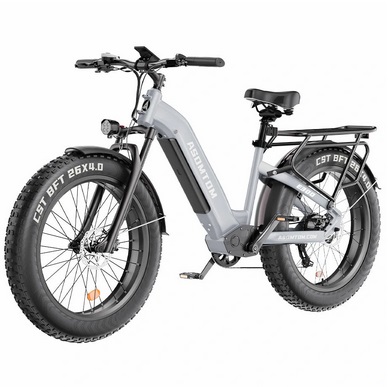 ASOMTOM E300 Snow Electric Bike 26\