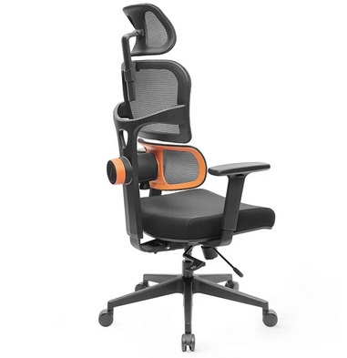 NEWTRAL NT001 Ergonomic Chair Adaptive Lower Back Support 3 Recline Angle Adjustable Backrest Armrest Headrest 5 Positions to Lock Nylon Base - Standard Version