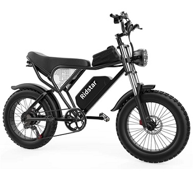 Ridstar Q20 Electric Bike, 1000W Brushless Motor 20*4.0 inch Fat Tires 48V 20Ah Removable Battery 48km/h Max Speed 150kg Max Load 120km Max Range Hydraulic Disc Brake