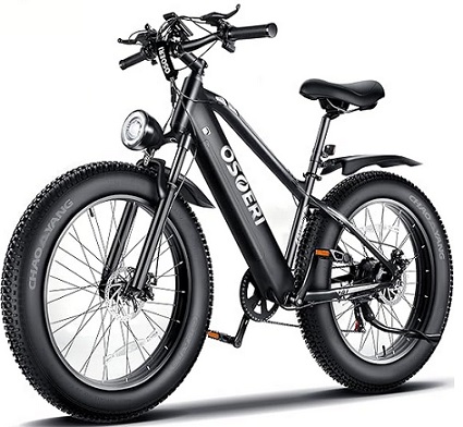 Osoeri OS-EB02 Electric Bike 750W Brushless Motor 26\