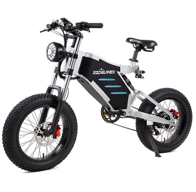 RZOGUWEX Electric Bicycle 20 Inch Off-Road EBIKE for Adults with 48V 25AH Detachable Lithium Ion Battery, 7 Speed Snow Bike with Dual Shock Absorbers and Brush-less Motor
