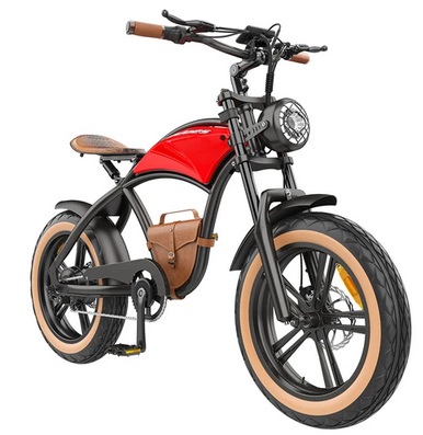 Hidoes B10 Electric Bike, 1000W Motor, 48V 13Ah Battery, 20 x4.0 inch Fat Tire, 45km/h Max Speed, 60km Range, Dual Mechanical Disc Brakes, Hydraulic Front Fork