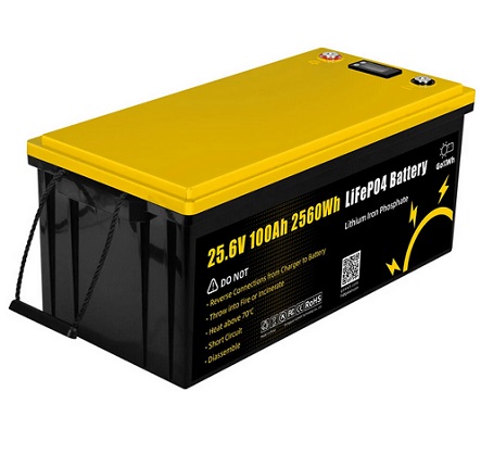 Gokwh 24V 100Ah with LCD Energy Storage Box Solar Lithium ion Lifepo4 Battery for RV Boat Home Energy Storage