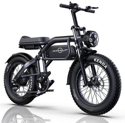 PHNHOLUN C8 Pro Electric Bike 48V 20AH Battery 1000W Motor 20inch Tires 65KM Max Mileage 150KG Max Load Electric Bicycle - Spoke Wheel